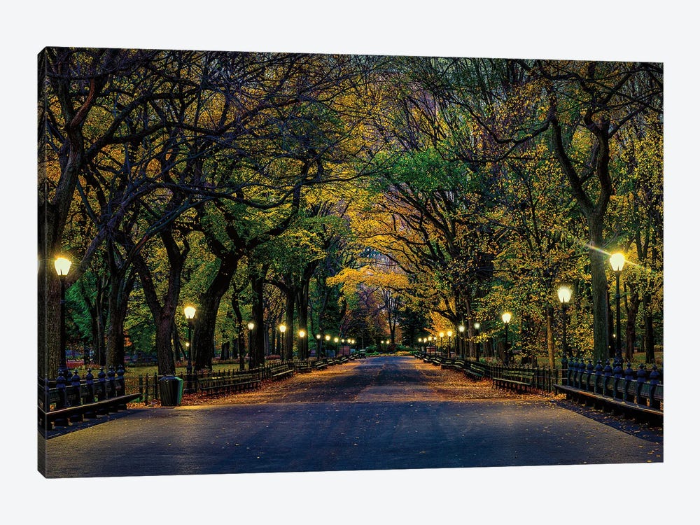 Central Park Magic by David Gardiner 1-piece Art Print