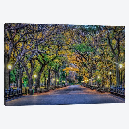 Central Park Night Canvas Print #DVG107} by David Gardiner Canvas Wall Art