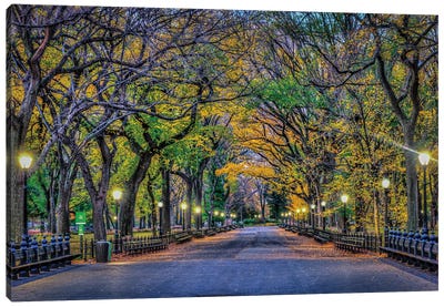 Central Park Night Canvas Art Print - Trail, Path & Road Art