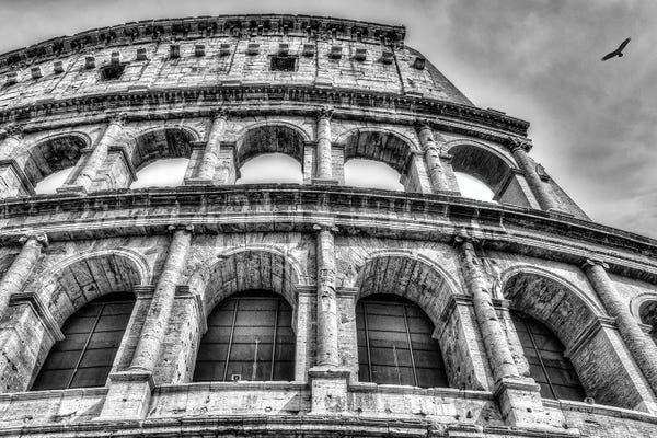 Ancient Ruins: Colloseum by David Gardiner