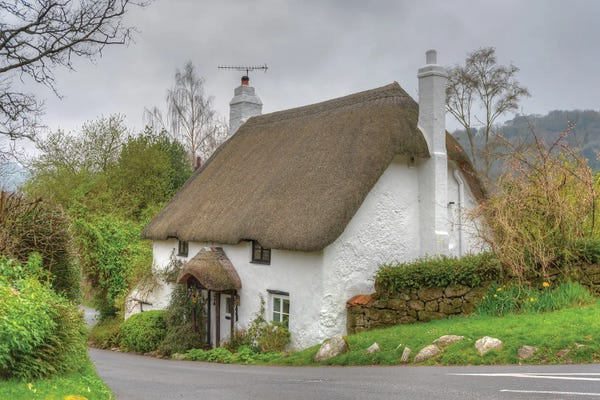 David Gardiner: Devon Cottage by David Gardiner