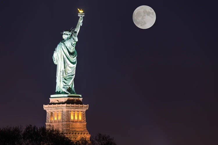 Greet The Moon by David Gardiner wall art