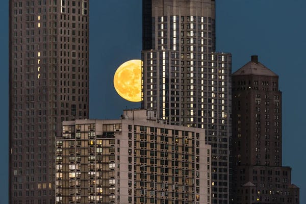 David Gardiner: Peeping Moon by David Gardiner