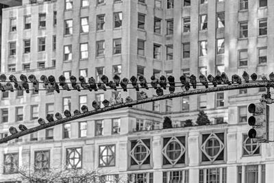 Pigeon Stop II by David Gardiner art print