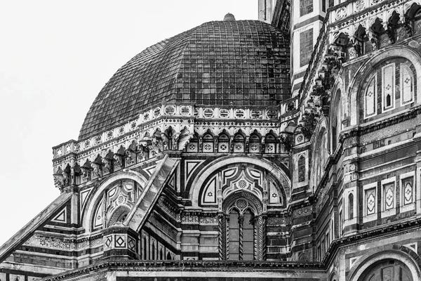 David Gardiner: Roma by David Gardiner