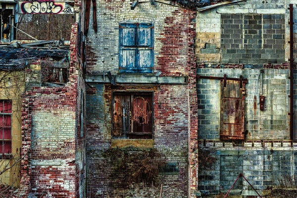 David Gardiner: Ruined Beauty by David Gardiner