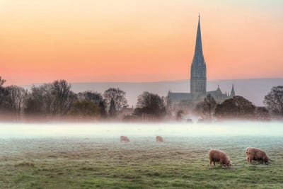 Salisbury Morn by David Gardiner art print