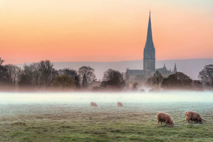 Salisbury Morn