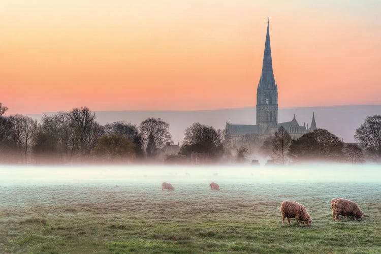 Salisbury Morn by David Gardiner wall art