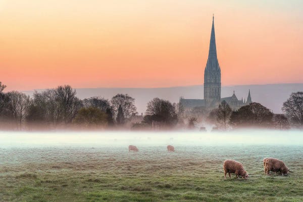 David Gardiner: Salisbury Morn by David Gardiner