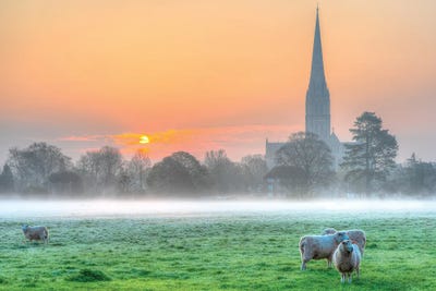 Salisbury Sunrise by David Gardiner art print