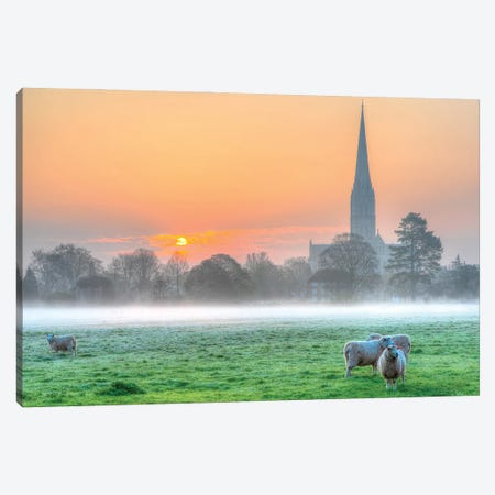 Salisbury Sunrise Canvas Print #DVG163} by David Gardiner Art Print