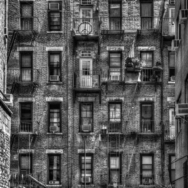 Stories II by David Gardiner wall art
