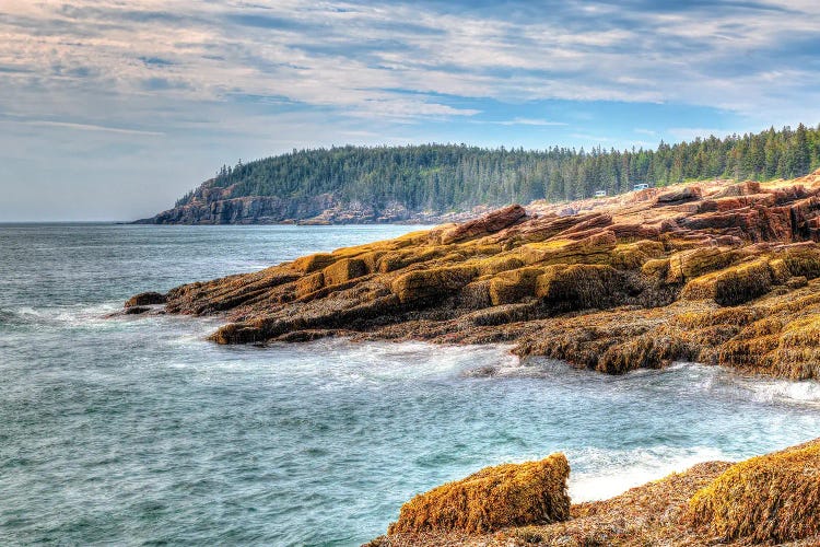 Acadia Coast by David Gardiner wall art