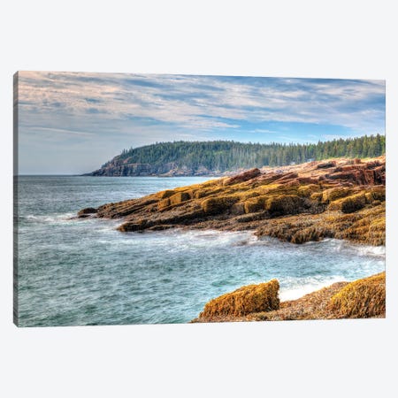 Acadia Coast Canvas Print #DVG207} by David Gardiner Art Print