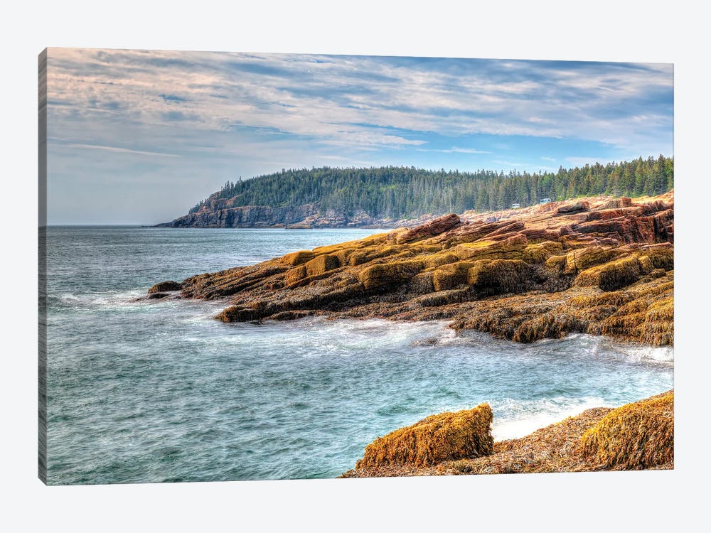 Acadia Coast by David Gardiner 1-piece Canvas Artwork