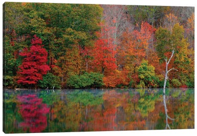 Autumn Scene Canvas Art Print - David Gardiner