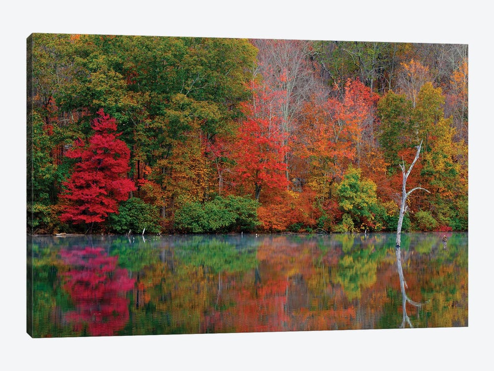 Autumn Scene by David Gardiner 1-piece Canvas Wall Art