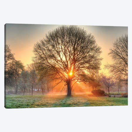 Basking in the Glow Canvas Print #DVG211} by David Gardiner Canvas Print