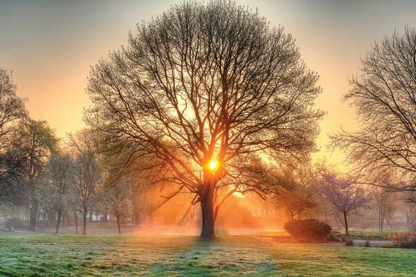 Basking in the Glow