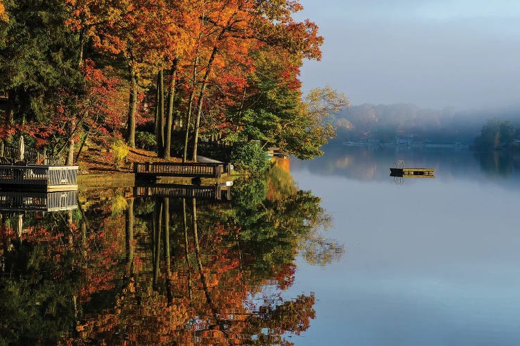 Cupsaw Morning by David Gardiner wall art