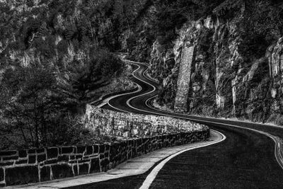 Curves II by David Gardiner framed canvas print