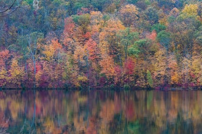 Fall Lake by David Gardiner framed canvas print