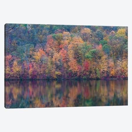 Fall Lake Canvas Print #DVG228} by David Gardiner Canvas Wall Art