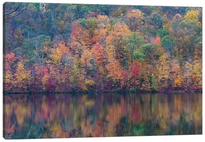 Fall Lake Canvas Art Print - David Gardiner