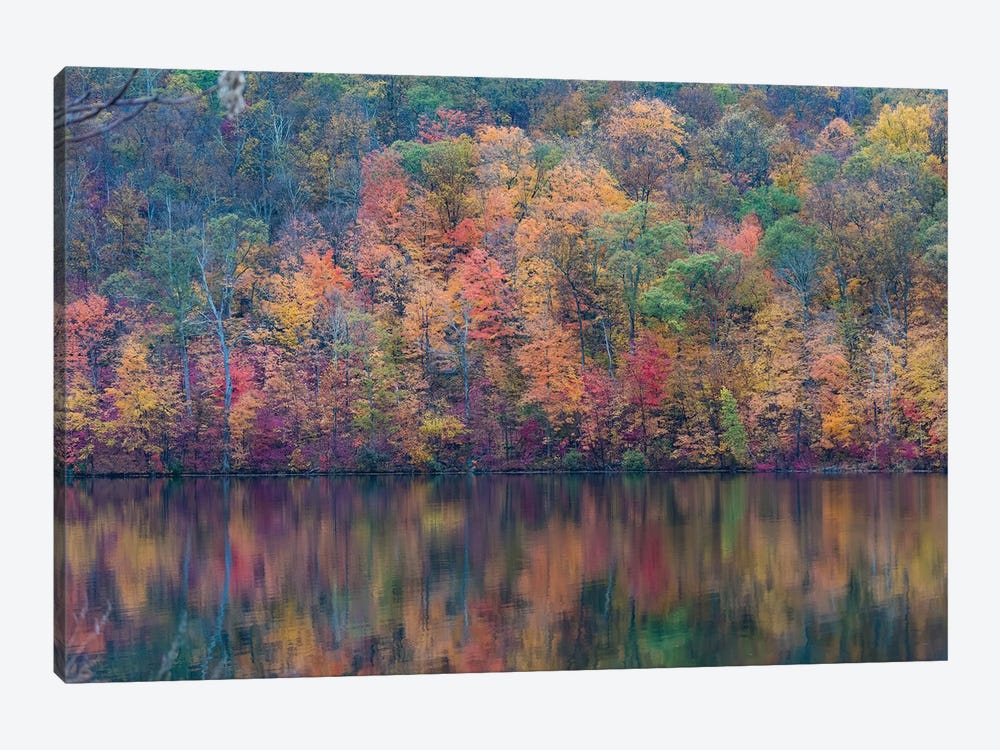 Fall Lake by David Gardiner 1-piece Canvas Print