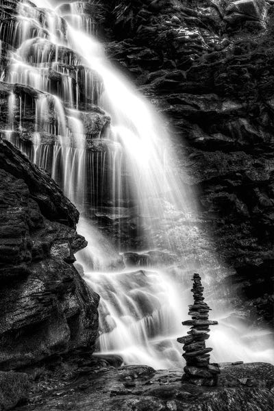 Fall Sentinal II by David Gardiner framed canvas print