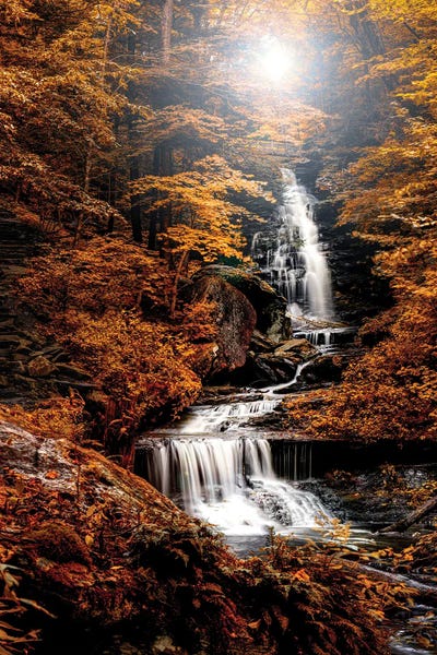 Trees: Falling Waters by David Gardiner