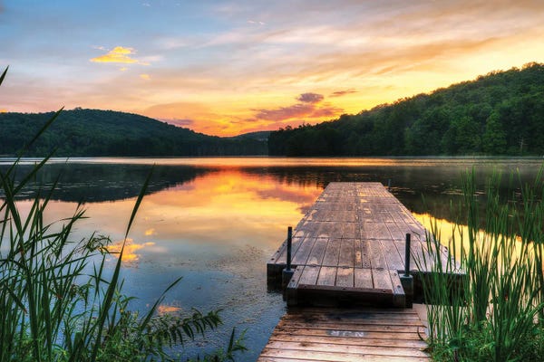 Nature Lover: Fishing Spot by David Gardiner