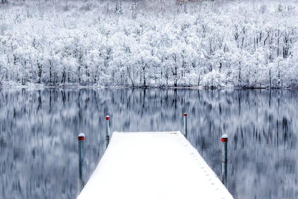 David Gardiner: Freeze Frame by David Gardiner