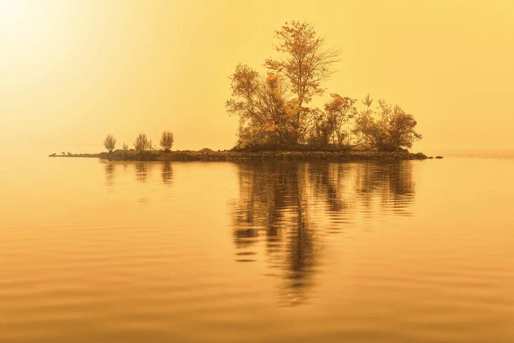 Golden Isle by David Gardiner wall art