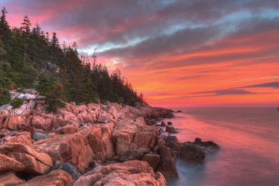Maine Morning by David Gardiner framed canvas print