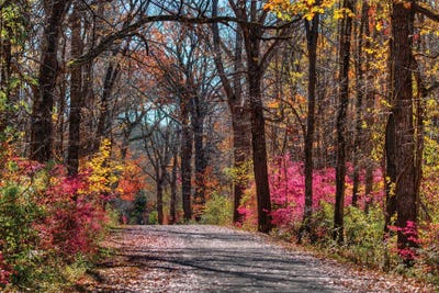 Manor Trail by David Gardiner canvas print