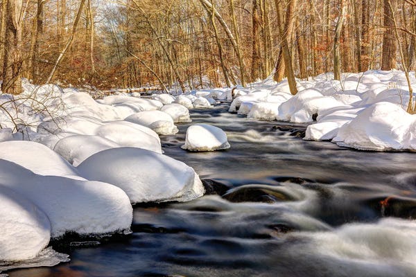 David Gardiner: Marshmallow Flow by David Gardiner