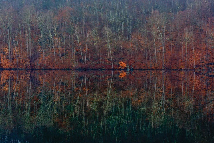 Mirrored Fall by David Gardiner wall art