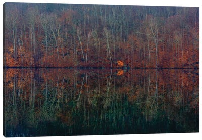 Mirrored Fall Canvas Art Print - David Gardiner