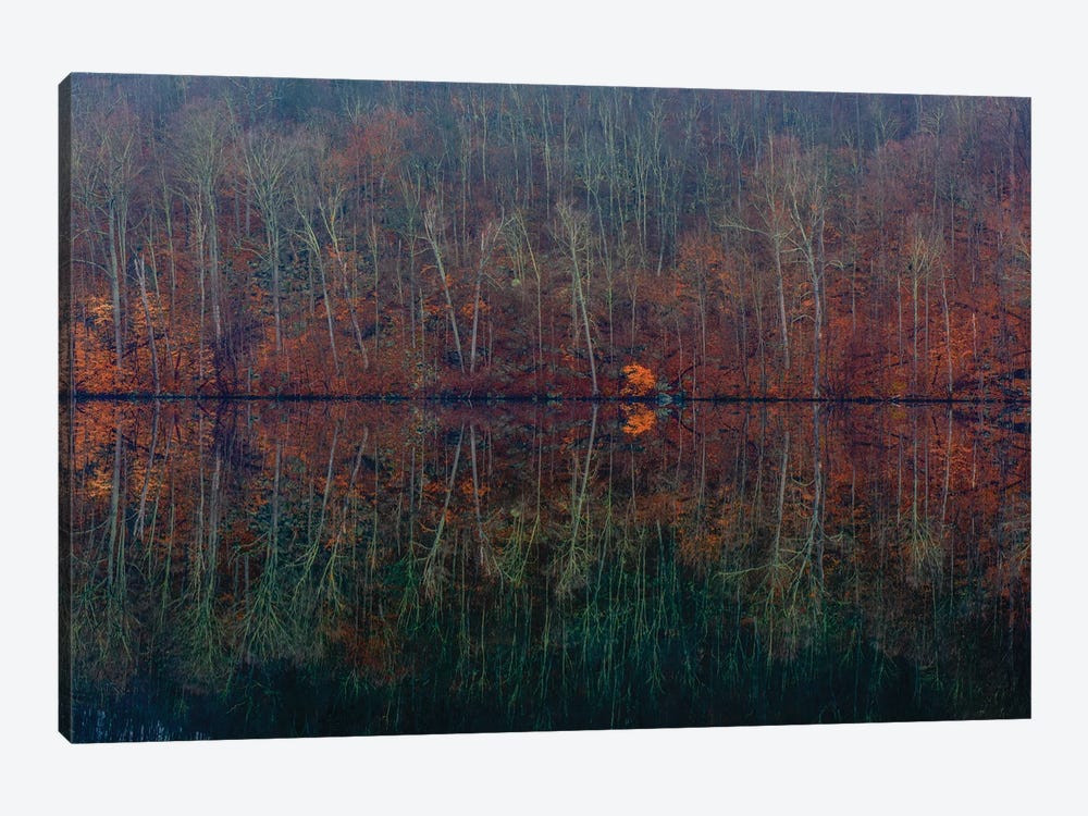 Mirrored Fall by David Gardiner 1-piece Canvas Print