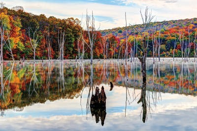 Monksville Fall by David Gardiner framed canvas print