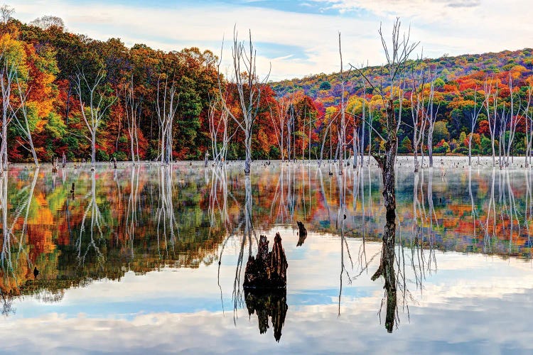 Monksville Fall
