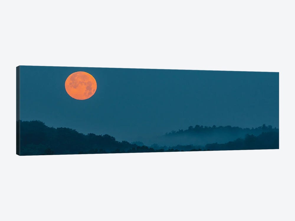 Moonrise Mist by David Gardiner 1-piece Canvas Wall Art