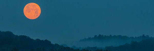 David Gardiner: Moonrise Mist by David Gardiner