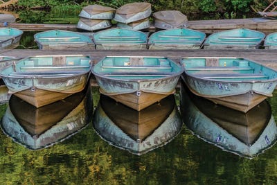 Reflected Boats by David Gardiner art print