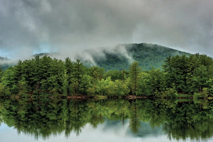 Reflected Green by David Gardiner wall art