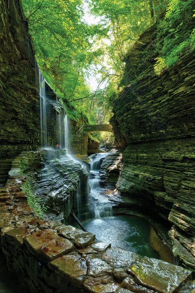 Large Photography - Canvas Prints: Rickets Glen by David Gardiner