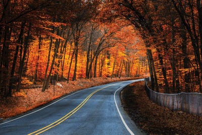 Skylands Fall by David Gardiner framed canvas print