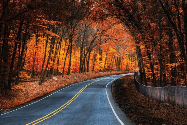 David Gardiner: Skylands Fall by David Gardiner